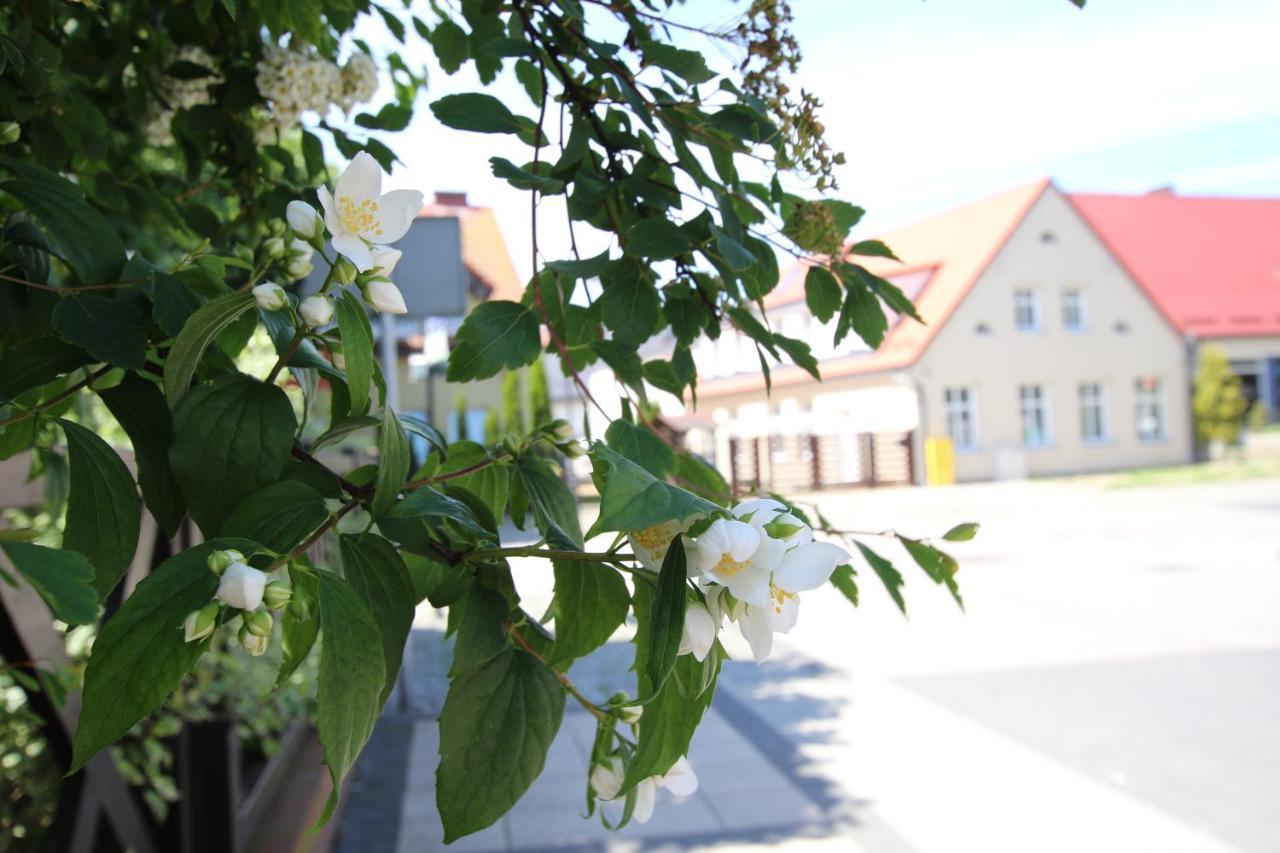 Apartamenty Royal Maris 1 - Najlepsza Lokalizacja W Ustce, Blisko Plazy I Portu, Bezplatny Parking, Scisle Centrum Ustka Eksteriør billede